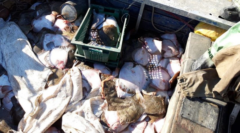 Деятельность рыбаков-браконьеров на особом контроле у ФСБ
