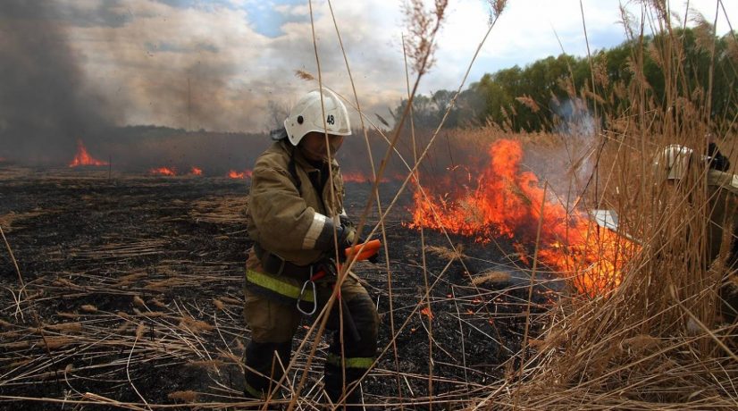 С начала года в Крыму произошло на 30% больше пожаров, чем за тот же период 2019-го.