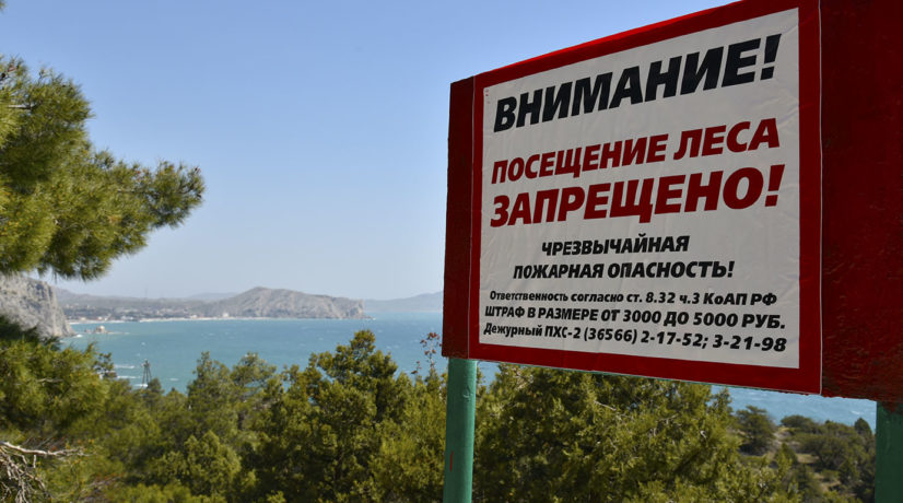 До 12 мая посещение крымских лесов запрещено