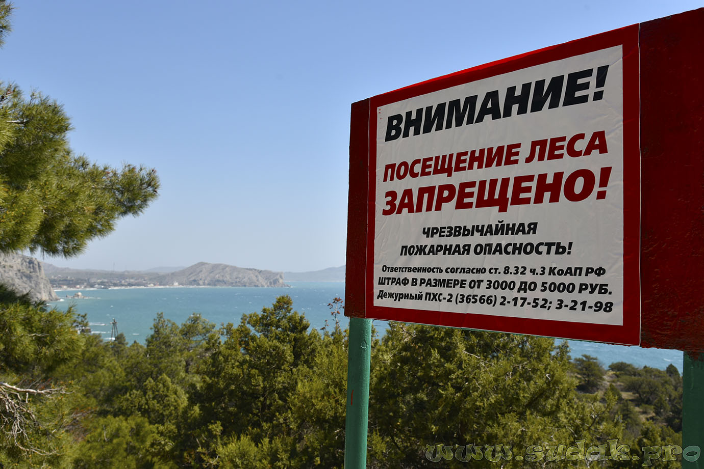 Запрет на посещение лесов. Посещение лесов запрещено. Леса закрыты для посещения. Запрещено посещать лес в Крыму.