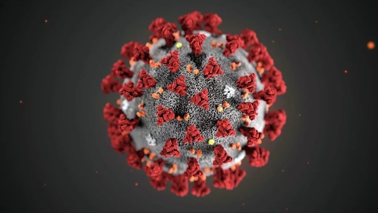 На полуострове выявили два новых случая коронавируса
