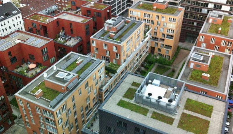 Строительство зеленых зон на крышах крымских домов под большим вопросом