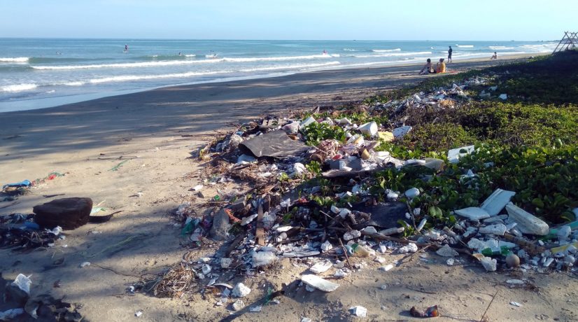 Крыму необходимо 8 крупных мусороперерабатывающих заводов, — мнение эколога