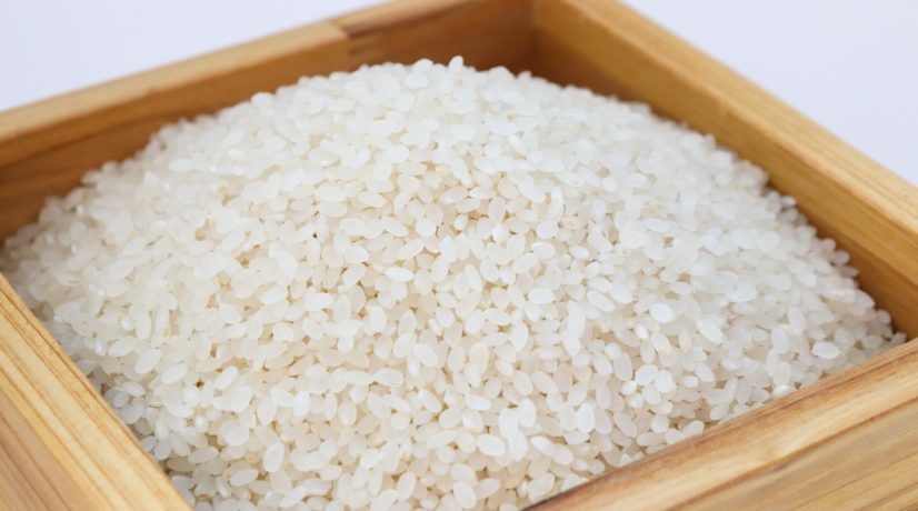В Крыму рисом засеяли более 675 гектаров полей