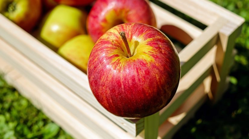 В Крыму планируют собрать рекордный урожай яблок