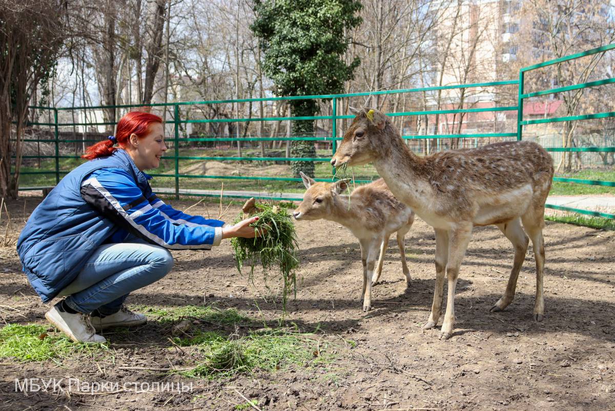 Зооуголок детский парк Симферополь. ООП зоопарк.