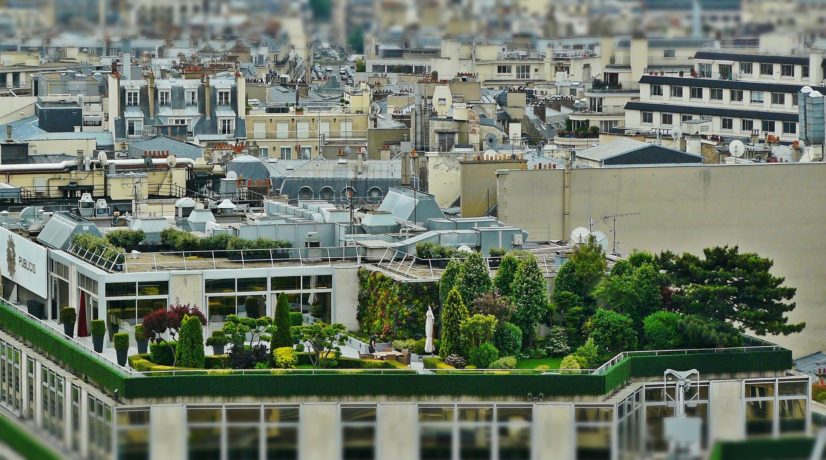 Сады на крышах – фантастика или возможное будущее Крыма?