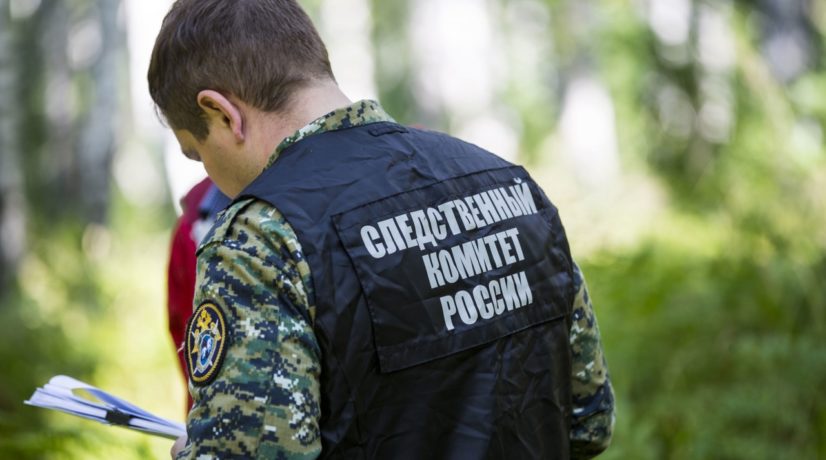 Следственный комитет и прокуратура Крыма проверяют обстоятельства травмирования годовалого малыша в одном из крымских зоопарков