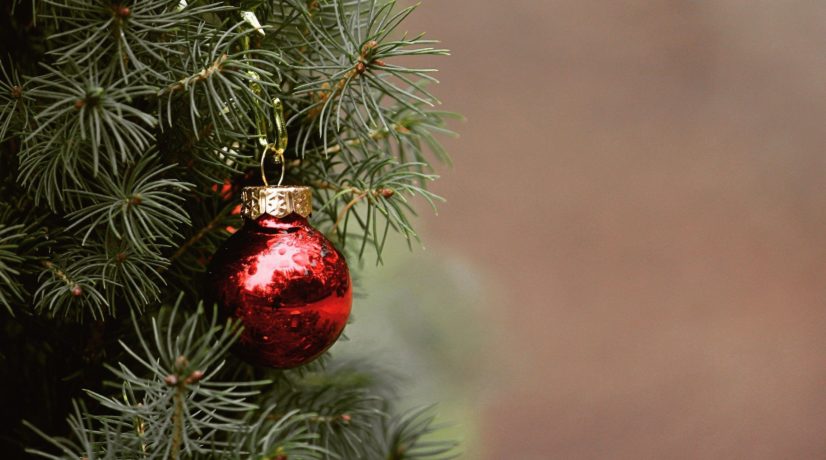 В Евпатории впервые за несколько лет установят искусственную новогоднюю ёлку
