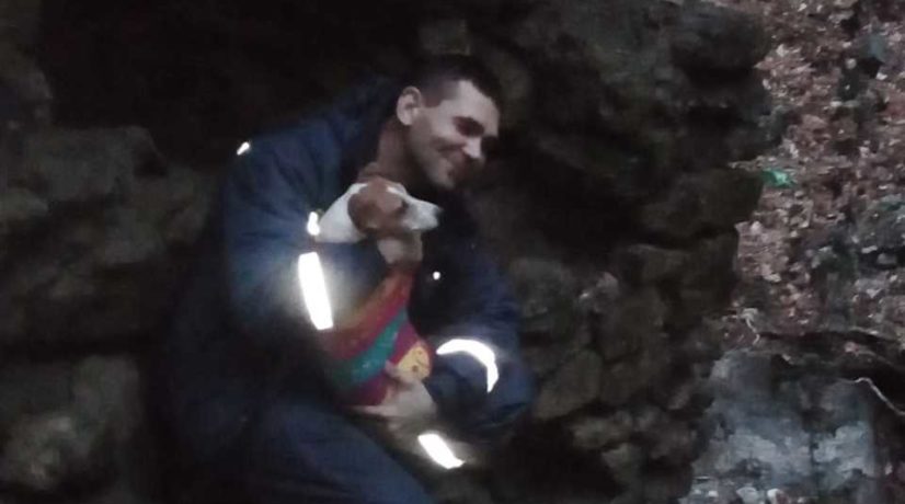 Крымские сотрудники МЧС спасли собаку, провалившуюся в заброшенный колодец
