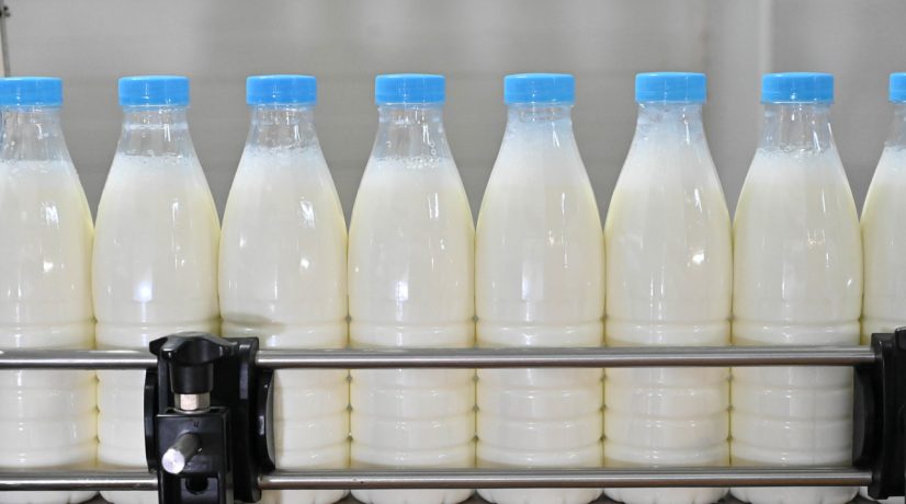 В Крыму построят логистический центр по хранению молочной продукции