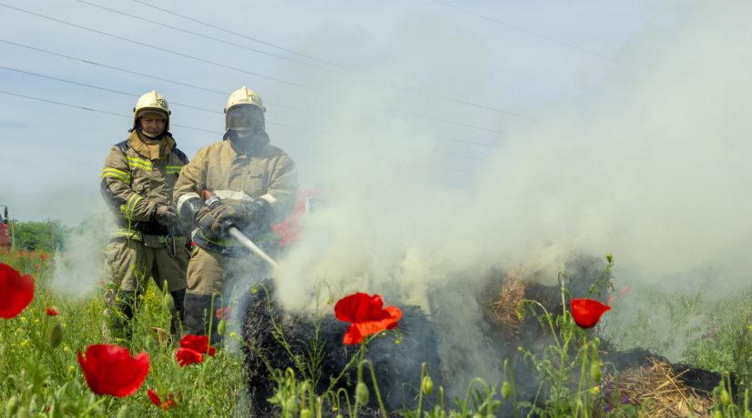 В центральном и восточном Крыму объявлена высокая пожарная опасность