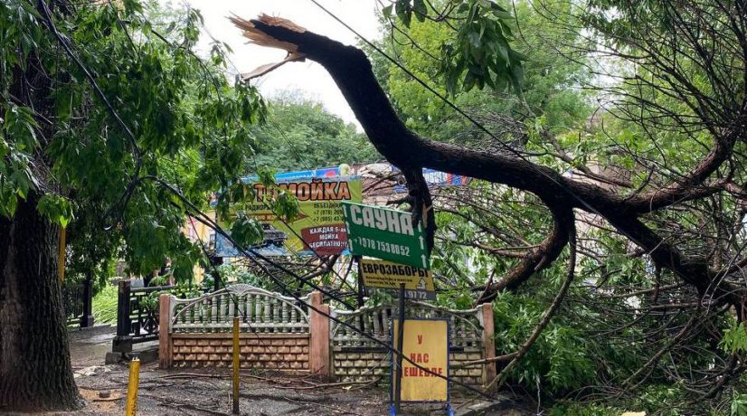 Шторм повалил деревья в столице Крыма