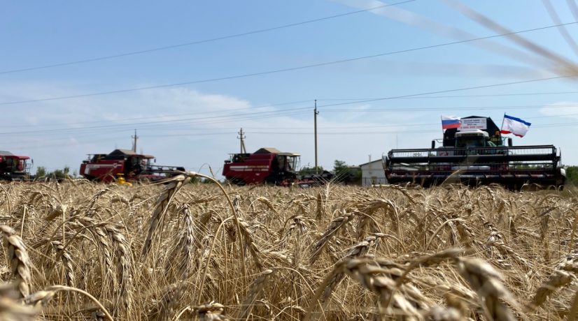 В Крыму намолотили два миллиона тонн зерна