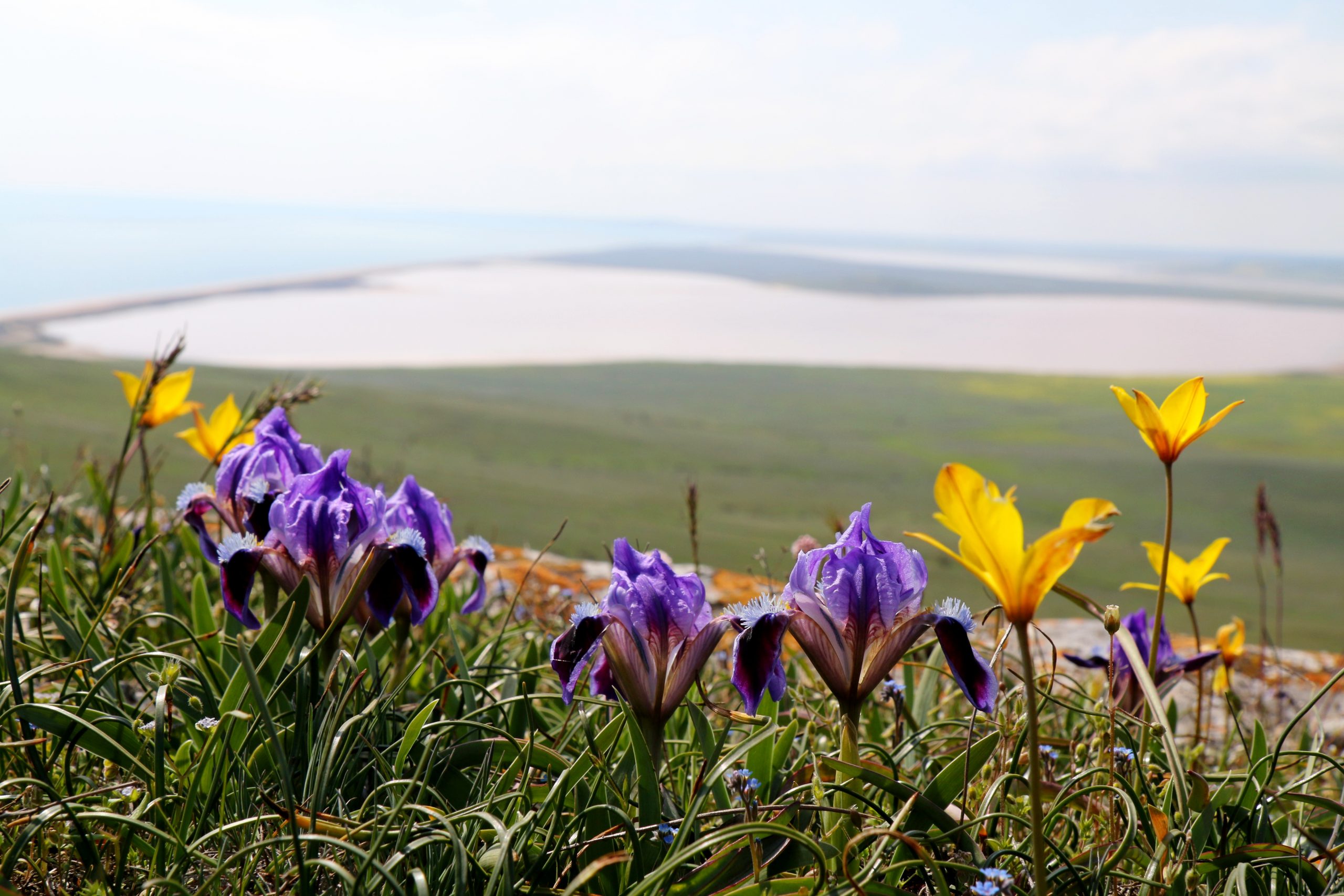 Заповедник крыма пропуск