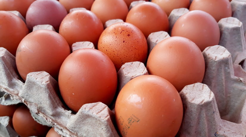 Абрамченко поручила увеличить производство курятины и яиц