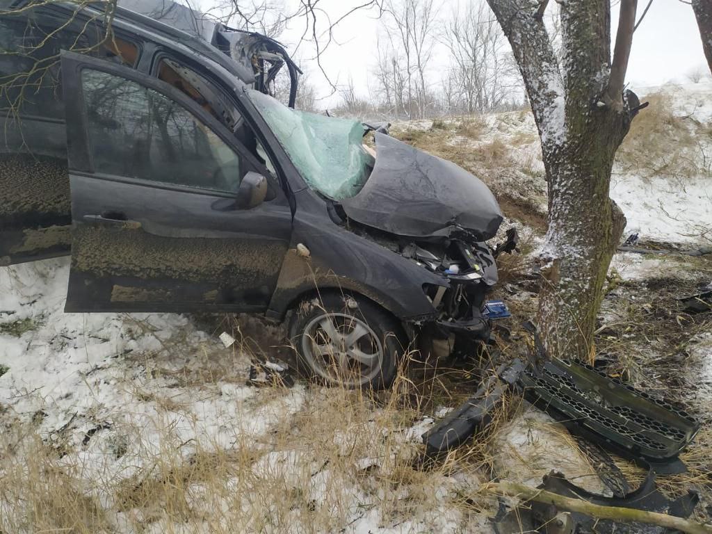 В Джанкойском районе водитель разбился насмерть, врезавшись в дерево -  Радио Крым