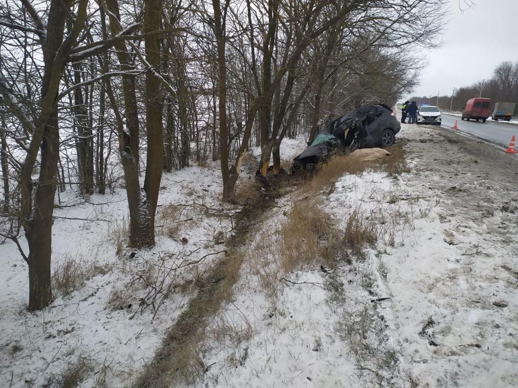 В Джанкойском районе водитель разбился насмерть, врезавшись в дерево -  Радио Крым