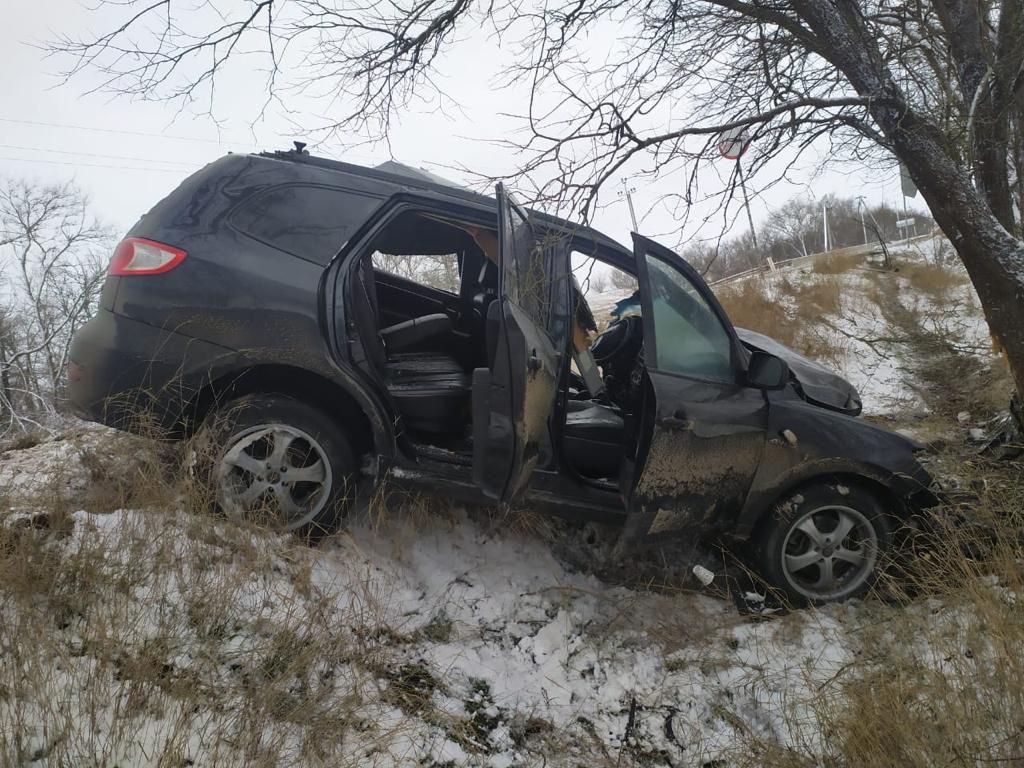 В Джанкойском районе водитель разбился насмерть, врезавшись в дерево -  Радио Крым